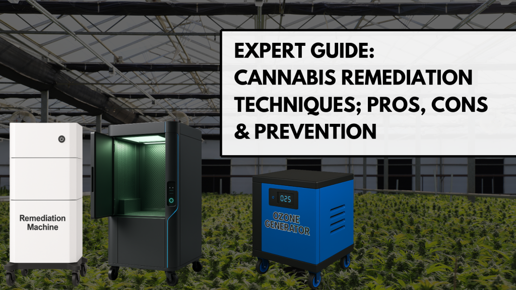 Expert Guide Cannabis Remediation Techniques; Pros, Cons & Prevention