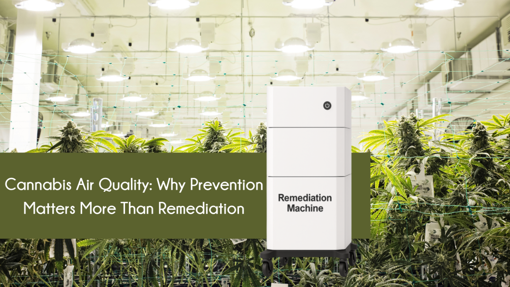 Cannabis Air Quality: Why Prevention Matters More Than Remediation