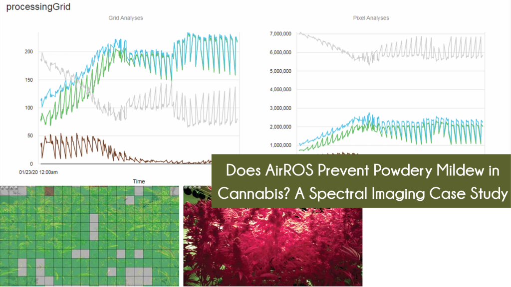 Does AirROS Prevent Powdery Mildew in Cannabis? A Spectral Imaging Case Study
